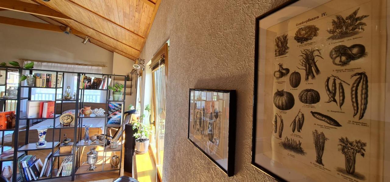 Spacious House With Indoor Pool & Sauna. Ādaži Екстериор снимка
