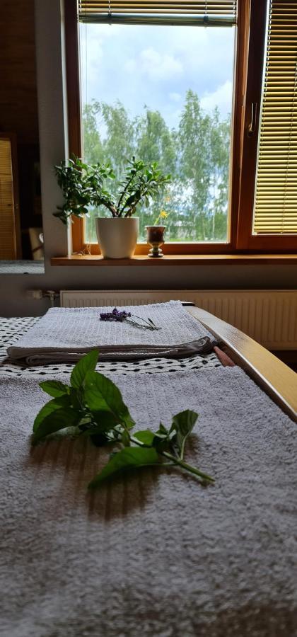 Spacious House With Indoor Pool & Sauna. Ādaži Екстериор снимка